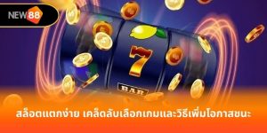 สล็อตแตกง่าย