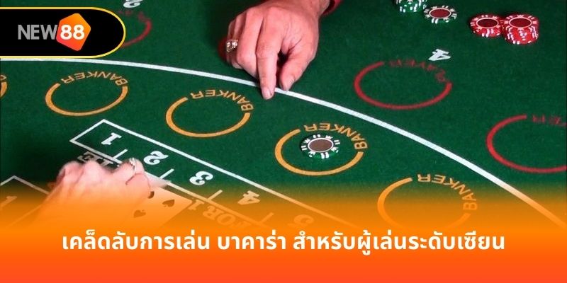 เคล็ดลับการเล่น บาคาร่า สำหรับผู้เล่นระดับเซียน